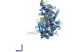 Protein Structure (PS) image for Phosphatidylinositol Glycan Anchor Biosynthesis, Class N (PIGN) (AA 1-931) protein (His tag) (ABIN7554965)