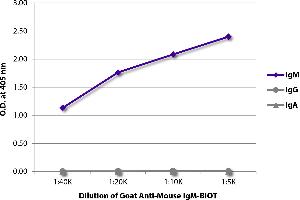 ELISA plate was coated with purified mouse IgM, IgG, and IgA. (Goat anti-Mouse IgM (Heavy Chain) Antibody (Biotin))