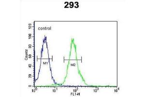 Flow Cytometry (FACS) image for anti-Rhotekin 2 (RTKN2) antibody (ABIN3002451) (RTKN2 antibody)