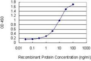 Detection limit for recombinant GST tagged SOS1 is 0. (SOS1 antibody  (AA 313-420))