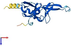 AlphaFold protein structure predicition of Mouse Recombinant Rfesd Protein, UniprotID Q8K2P6 (RFESD Protein (AA 1-157) (His tag))