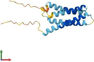 AlphaFold protein structure predicition of Human Recombinant CKLF Protein, UniprotID Q9UBR5