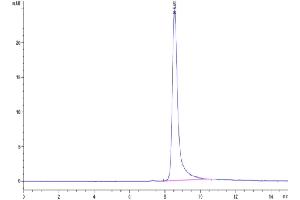 The purity of Cynomolgus APOH is greater than 95 % as determined by SEC-HPLC. (APOH Protein (AA 20-345) (His tag))