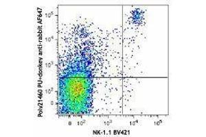 Flow Cytometry (FACS) image for Donkey anti-Rabbit IgG antibody (Alexa Fluor 647) (ABIN2667230) (Donkey anti-Rabbit IgG Antibody (Alexa Fluor 647))