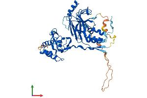Protein Structure (PS) image for SMAD Family Member 9 (SMAD9) (AA 1-430) protein (His tag) (ABIN7561558)