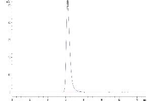 The purity of Human CD58 is greater than 95 % as determined by SEC-HPLC. (CD58 Protein (CD58) (AA 29-215) (Fc Tag))