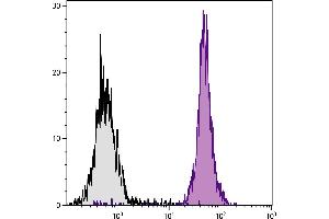 BALB/c mouse splenocytes were stained with Rat Anti-Mouse CD45-BIOT. (CD45 antibody  (Biotin))