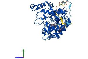 AlphaFold protein structure predicition of Human Recombinant HDAC3 Protein, UniprotID O15379 (HDAC3 Protein (AA 1-428) (His tag))