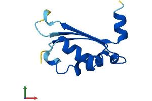 AlphaFold protein structure predicition of Mouse Recombinant Bola2 Protein, UniprotID Q8BGS2