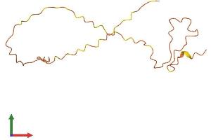 AlphaFold protein structure predicition of Human Recombinant KRTAP5-6 Protein, UniprotID Q6L8G9 (KRTAP5-6 Protein (AA 1-129) (His tag))