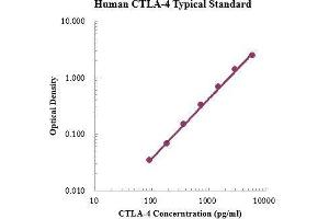 ELISA image for Cytotoxic T-Lymphocyte-Associated Protein 4 (CTLA4) ELISA Kit (ABIN3199209) (CTLA4 ELISA Kit)