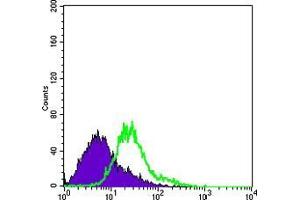 FC analysis of Hela cells using BCL10 antibody (green) and negative control (purple). (BCL10 antibody)