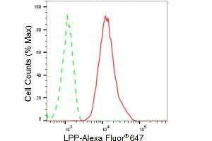 Flow cytometric analysis of LPP expression in HT- cells using LPP antibody (ABIN7799277), 1:2,000).