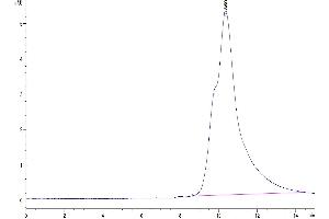 The purity of Human SFRP2 is greater than 95 % as determined by SEC-HPLC.