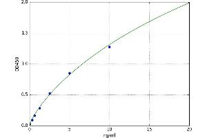 A typical standard curve