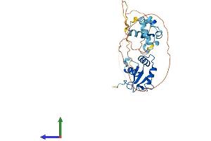 AlphaFold protein structure predicition of Human Recombinant EHF Protein, UniprotID Q9NZC4 (EHF Protein (AA 1-300) (His tag))