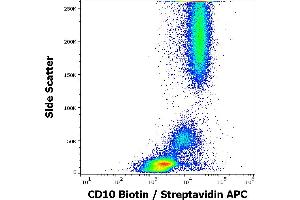 Flow cytometry surface staining pattern of human peripheral whole blood stained using anti-human CD10 (MEM-78) Biotin antibody (concentration in sample 12 μg/mL, Streptavidin APC).
