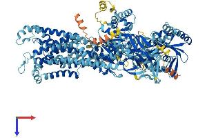AlphaFold protein structure predicition of Mouse Recombinant Atp8b5 Protein, UniprotID A3FIN4 (Atp8b5 Protein (AA 1-1183) (His tag))