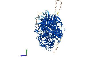 AlphaFold protein structure predicition of Mouse Recombinant Ganc Protein, UniprotID Q8BVW0