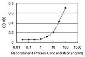 Detection limit for recombinant GST tagged NOC3L is 1 ng/ml as a capture antibody. (NOC3L antibody  (AA 702-800))