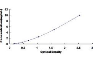 NRF1 ELISA Kit