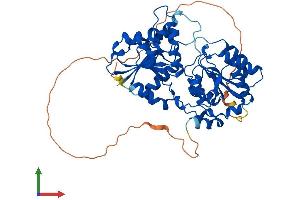 AlphaFold protein structure predicition of Human Recombinant GTDC1 Protein, UniprotID Q4AE62 (GTDC1 Protein (AA 1-458) (His tag))