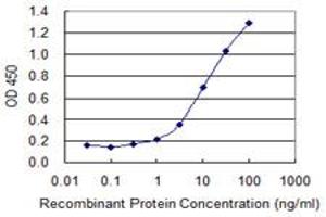 Detection limit for recombinant GST tagged C4B is 0. (C4B antibody  (AA 1347-1446))