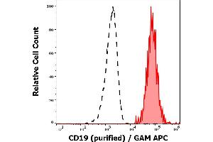 Separation of human CD19 positive lymphocytes (red-filled) from CD19 negative lymphocytes (black-dashed) in flow cytometry analysis (surface staining) of human peripheral whole blood stained using anti-human CD19 (4G7) purified antibody (concentration in sample 3 μg/mL) GAM APC. (CD19 antibody)
