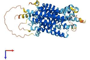 AlphaFold protein structure predicition of Human Recombinant MFSD13A Protein, UniprotID Q14CX5 (TMEM180 Protein (AA 1-517) (His tag))