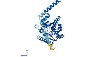 Protein Structure (PS) image for Retinol Dehydrogenase 10 (All-Trans) (RDH10) (AA 1-341) protein (His tag) (ABIN7559819)
