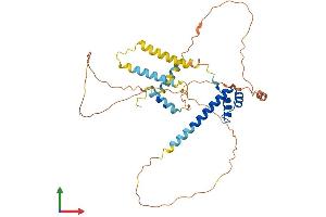 AlphaFold protein structure predicition of Human Recombinant DMBX1 Protein, UniprotID Q8NFW5 (DMBX1 Protein (AA 1-382) (His tag))
