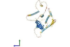 Protein Structure (PS) image for Nexilin (NEXN) (AA 1-607) protein (His tag) (ABIN7558255)