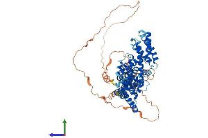 AlphaFold protein structure predicition of Mouse Recombinant Tcp11 Protein, UniprotID Q01755 (TCP11 Protein (AA 1-566) (His tag))