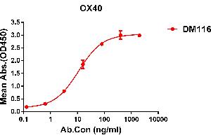 ELISA plate pre-coated by 2 μg/mL (100 μL/well) Human OX40 protein, hFc-His tagged protein ((ABIN6961095, ABIN7042219 and ABIN7042220)) can bind Rabbit anti-OX40 monoclonal antibody(clone: DM116) in a linear range of 6-70 ng/mL. (TNFRSF4 antibody  (AA 29-216))