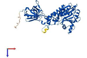Protein Structure (PS) image for Aspartyl-tRNA Synthetase (DARS) (AA 1-501) protein (His tag) (ABIN7544070)