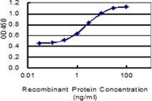 Detection limit for recombinant GST tagged SPAG16 is 0. (SPAG16 antibody  (AA 1-183))