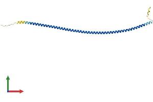 AlphaFold protein structure predicition of Human Recombinant CCDC153 Protein, UniprotID Q494R4