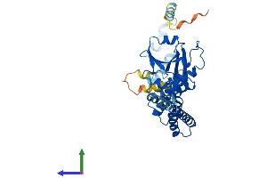 AlphaFold protein structure predicition of Human Recombinant TTC4 Protein, UniprotID O95801 (TTC4 Protein (AA 1-387) (His tag))