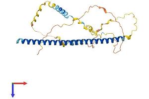 AlphaFold protein structure predicition of Mouse Recombinant Atf5 Protein, UniprotID O70191 (ATF5 Protein (AA 1-283) (His tag))