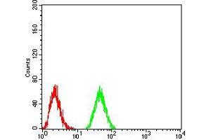 Flow cytometric analysis of K562 cells using DNMT3B mouse mAb (green) and negative control (red). (DNMT3B antibody  (AA 1-150))