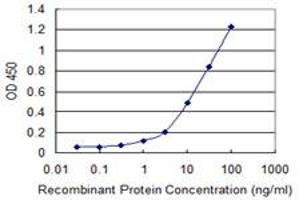 Detection limit for recombinant GST tagged CRY1 is 0. (CRY1 antibody  (AA 1-586))
