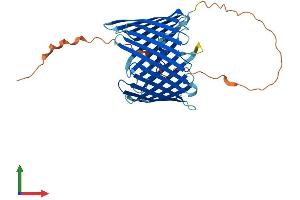 Protein Structure (PS) image for Translocase of Outer Mitochondrial Membrane 40 Homolog (TOMM40) (AA 1-361) protein (His tag) (ABIN7561783)