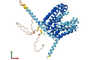 AlphaFold protein structure predicition of Human Recombinant SLC16A14 Protein, UniprotID Q7RTX9 (SLC16A14 Protein (AA 1-510) (His tag))