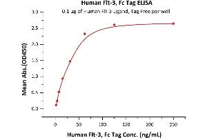 Immobilized Human Flt-3 Ligand, Tag Free (ABIN2181107,ABIN3071731,ABIN2693588) at 1 μg/mL (100 μL/well) can bind Human Flt-3, Fc Tag (ABIN6731308,ABIN6809860) with a linear range of 2-31 ng/mL (QC tested). (FLT3 Protein (AA 27-543) (Fc Tag))