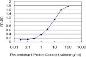 Detection limit for recombinant GST tagged MSH5 is approximately 0. (MSH5 antibody  (AA 736-835))