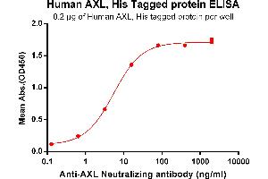 ELISA plate pre-coated by 2 μg/mL (100 μL/well) Human AXL, His tagged protein (ABIN6961128) can bind Anti-AXL Antibody in a linear range of 0. (AXL Protein (His tag))