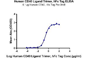 ELISA image for CD40 Ligand (CD40LG) (Trimer) protein (Fc Tag) (ABIN7274321)