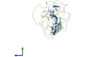 AlphaFold protein structure predicition of Human Recombinant SMARCC2 Protein, UniprotID Q8TAQ2