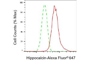 Flow cytometric analysis of Hippocalcin expression in HepG2 cells using Hippocalcin antibody (ABIN7798912), 1:2,000).