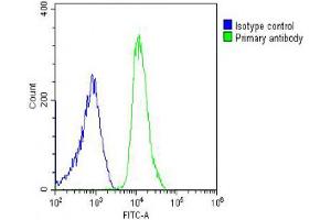 Overlay histogram showing U-2OS cells stained with Antibody (green line). (SH3PXD2B antibody  (AA 596-628))